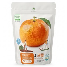 Ssalgwaja 米餅村 無添加寶寶水果脆片, 10g, 1包