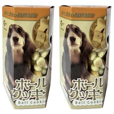 Canary 健康日誌犬用消臭餅 D-S344, 200g, 2個, 起司