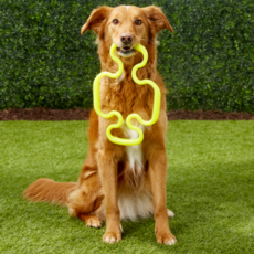 RuffDawg Supertug 狗玩具 22 x 22 cm, 隨機發貨