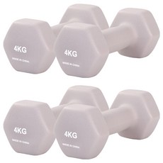 리브스포 논슬립 아령, 4kg, 4개