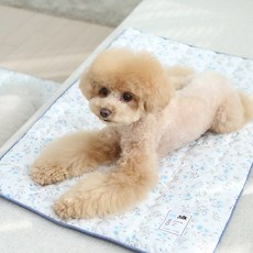 ITS DOG 涼墊, Blue Cat