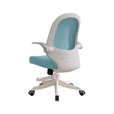 STYLE 格調 電腦椅 CR-002-G 加底座款, 綠色, 人體工學設計, 舒適透氣, 不適用