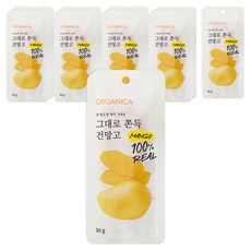 ORGANICA 嚼勁十足芒果乾, 30g, 10包
