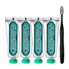 DENTI BUONGIORNO 口臭護理牙膏 100g x 4p+細毛牙刷套組, 1套