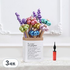 피앤비유니티 DIY꽃풍선선물 10p + 풍선펌프 + 종이봉투 세트, 09 데이지 + 유칼립, 3세트