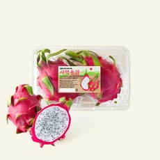 온브릭스 주식회사 농업회사법인 베트남산 사막용과, 1개, 1kg