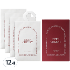 에이센트 퍼퓸 샤쉐 본품 L, 20g, 12개, 딥체리