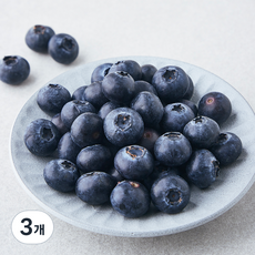 국산 블루베리, 100g, 3개