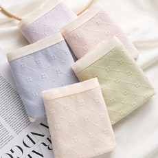 Dermoderma女性用防漏衛生內褲 5件組, 珊瑚粉, 抹茶綠, 奶油米, 天空藍, 奶油紫