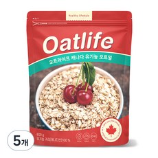 Dubosikpum 燕麥片, 600g, 5個