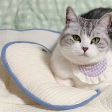 daldang 寵物狗狗晚安絎縫半月枕頭, 藍色