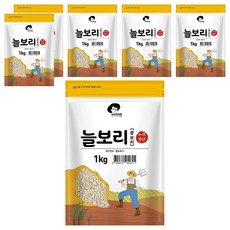 엉클탁 국산 늘보리 꽁보리, 1kg, 6개