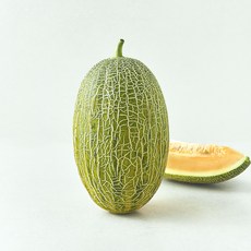 곰곰 고당도 하미과 멜론, 1.8kg, 1개
