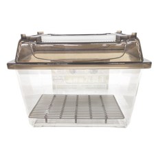 W.I.P 台灣聯合文具 手提式寵物盒 W2418 外出手提方便 可當水族箱與寵物盒使用 高透視度 方便觀察研究, 透明, 1個