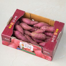 해남 화산농협 한입 꿀고구마, 1.5kg, 1박스