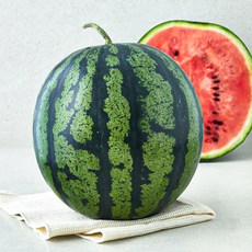 쥬스용 수박, 5kg 이상, 1개