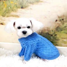 블랙스완 반려동물 스웨터, 블루, 1개