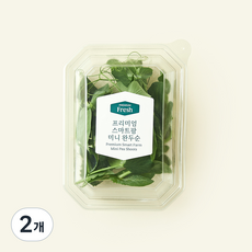 프리미엄 스마트팜 미니 완두순, 2개, 10g
