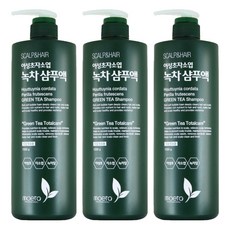 모에타 어성초 자소엽 녹차 샴푸액 지성 두피용, 1kg, 3개