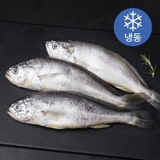 영광 법성포 줄줄이굴비 (냉동), 120g, 3봉