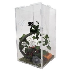 AQUAB Dingdong Pet 爬蟲類蜥蜴屋旅館套組, 1套, 透明