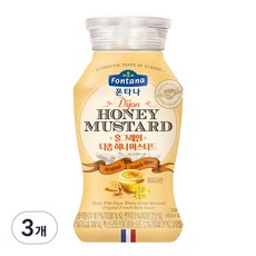 폰타나 디종 허니 머스타드, 190g, 3개