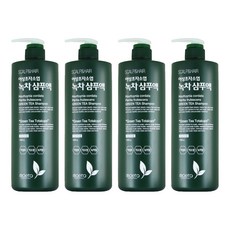 moeta 魚腥草紫蘇綠茶油性頭皮洗髮精, 1kg, 4個