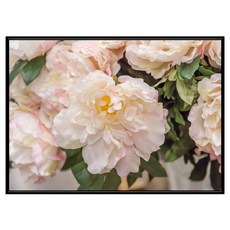 BOLUO GALLERY 菠蘿選畫所 嬌嫩牡丹 BFFB3436B, 黑色