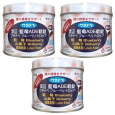 人生製藥 渡邊藍莓ADE軟錠 含藍莓、山桑子、葉黃素酯, 190g, 3罐