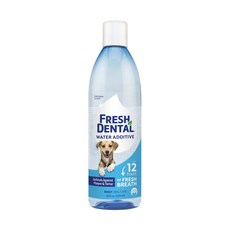 DENTAL FRESH 潔牙白 天然潔牙水，12小時清新口氣, 533ml, 1瓶