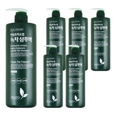 모에타 어성초 자소엽 녹차 샴푸액 지성 두피용, 1kg, 6개