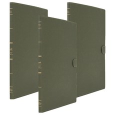 Indi Gatti 透明文件夾 20頁, 橄欖綠, 3個