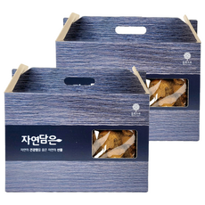 몸애조화 프리미엄 차가버섯, 2개, 800g