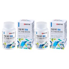 일양약품 어골 해조 칼슘 마그네슘 비타민D 비타민K, 48g, 2개