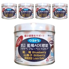 Jen Sheng 人生製藥 渡邊 藍莓ADE軟錠, 190g, 5罐