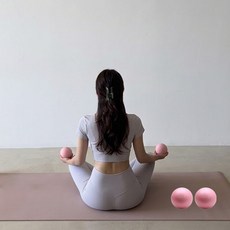 밸런시스 케이필라테스 웨이트볼, 핑크, 1kg, 2개