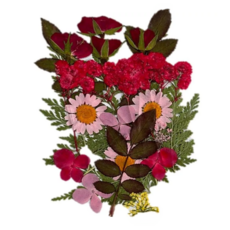 A-ONE 匯旺 真花壓花 BB05 中花包 Set 2, 紅花綠葉