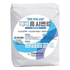 위드블럭 물만부어 사용 홈 백시멘트 20kg, 1개