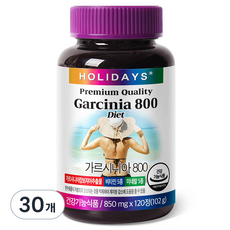 홀리데이즈 가르시니아 800, 120정, 30개