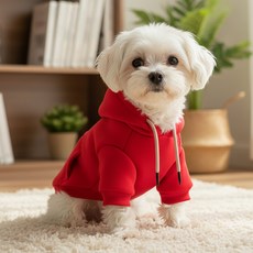 쁘띠도그 반려동물 베이직 기모 후드티 DWT072, 레드, 1개