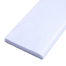 동성지공사 색화지 전지 100 x 70 cm, 백색, 100개