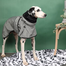 Paws Holic 快穿式時尚風衣, 寵物衣服, 35, 灰綠色, 1件