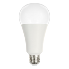 EVERLIGHT 億光 LED球泡燈 16W, 黃光, 1個