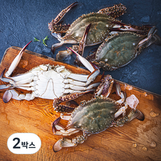 백화 신진도 산지직송 산채로 포장한 가을 햇꽃게 (냉장), 2박스, 1kg(3~5미)
