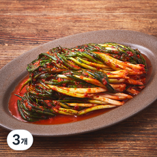 모산김치 매운 실비 파김치, 1kg, 3개