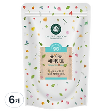 제임스티스푼 유기농 페퍼민트, 1.5g, 20개입, 6개