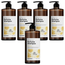 메디레머디 올데이 데오르 퍼퓸 샴푸 일랑일랑, 1L, 5개