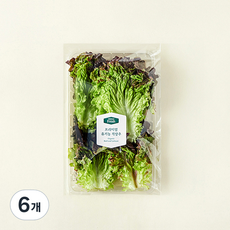 프리미엄 유기농 적상추, 120g, 6개