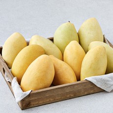 캄보디아 망고 8~12입, 3.9kg(8~12입), 1박스