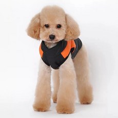도그월드 강아지 패딩조끼, 오렌지, 1개